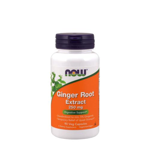 Now Foods Ginger Root Extract 250 mg (90 Cápsula)