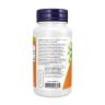 Now Foods Ginger Root Extract 250 mg (90 Cápsula)