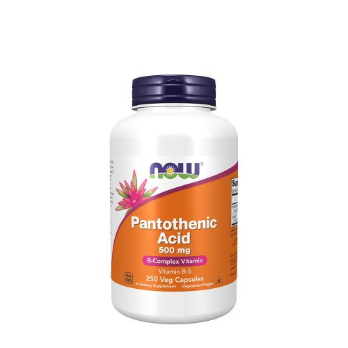 Now Foods Panthotenic Acid 500 MG (250 Cápsula)