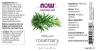 Now Foods Essential Oils - Rosemary Oil (30 ml)