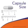Now Foods 5-HTP 100 mg (120 Veg Cápsula)