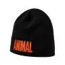 Universal Nutrition Animal Beanie (1 db, Negro/Naranja)