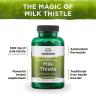 Swanson Milk Thistle (100 Cápsula)