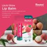Himalaya Lip Balm (4,5 g, Lichi)
