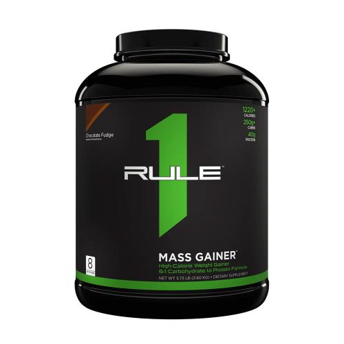 Rule1 R1 Mass Gainer (2600 g, Fudge de Chocolate)