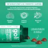 Goli Pre + Post + Probiotics Gummies (60 Gomitas)