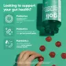 Goli Pre + Post + Probiotics Gummies (60 Gomitas)