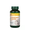 Vitaking Gymnema Sylvestre 400 mg (90 Cápsula)
