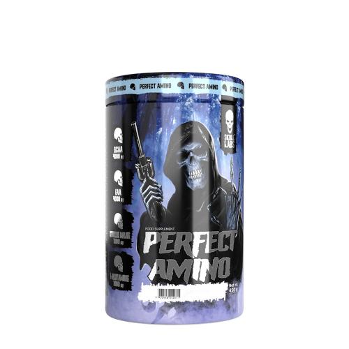 Skull Labs Perfect Amino (450 g, Fruta del Dragón (pitahaya))