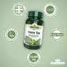 Natures Aid Green Tea 10,000mg (60 Tableta)