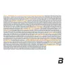 BioTechUSA Daily Pack (30 Paquete)