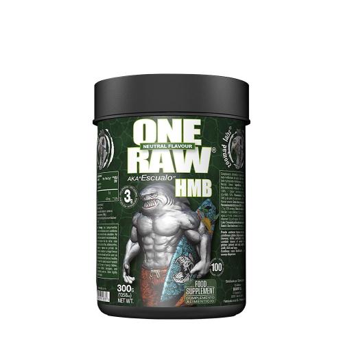 Zoomad Labs Raw One HMB (300 g, Sin Sabor)