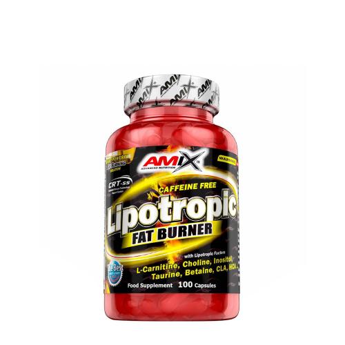 Amix Lipotropic Fat Burner (100 Cápsula)