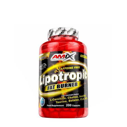 Amix Lipotropic Fat Burner (200 Cápsula)