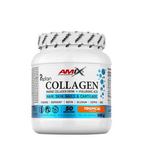 Amix Collagen Marine Peptan Drink (300 g, Tropical)