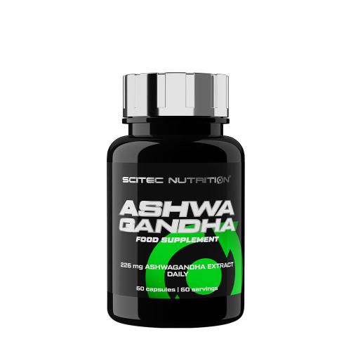 Scitec Nutrition Ashwagandha (60 Cápsula)