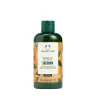 The Body Shop Satsuma Shower Gel (250 ml, Satsuma)