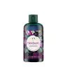 The Body Shop Dewberry Shower Gel (250 ml)