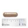 Nature's Way Black Cohosh Root (100 Cápsula)