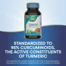Nature's Way Turmeric Premium Extract (60 Tableta)