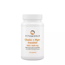 Vitaworld Choline + Inositol 450/450 mg (60 Cápsula)