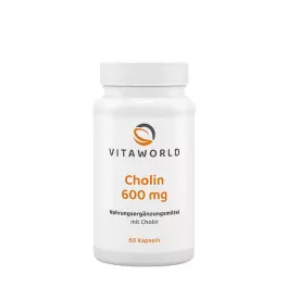 Vitaworld Choline 600 mg (60 Cápsula)