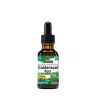 Nature's Answer Goldenseal Extract (1 fl. oz.)