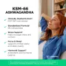 Vitamin360 KSM-66 Ashwagandha® 200 mg – Suplemento alimenticio premium con ashwagandha (120 Veg Cápsula)